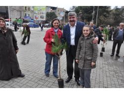 Tartar Fidan Dağıttı