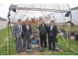 Topraksız Fidan Projesi İlgi Gördü, Özel Şirketler De Üretecek