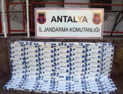 Alanya'da Bin Paket Gümrük Kaçağı Sigara