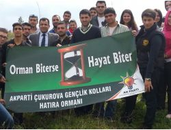 Ak Partili Gençler Hatıra Ormanı Oluşturdu