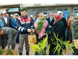 Karasu’da 2 Bin Fidan Dağıtıldı