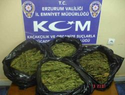 Erzurum Polisi, 20 Kilogram Esrar Ele Geçirdi!!