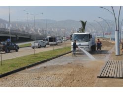 Dalgaların Vurduğu Sahil Temizledi