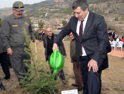 Emekliler Derneği Hatıra Ormanı Açıldı