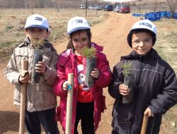 Komfed, 1000 Fidan Dikti