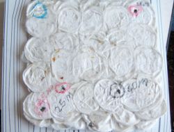 İpek Kozasından Zırh Yaptı