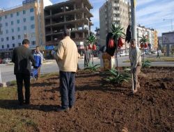 Adıyaman'da Kavşak Ve Refüjler Lale İle Buluşuyor