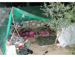 Cami Ve Düğün Salonu Suriyelilerin Yaşam Alanları Oldu