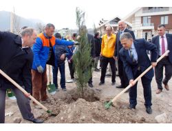 Kayseri’de Bin Adet Çam Fidanı Toprakla Buluştu