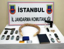 Stepneye Zulalı Kokaini Eğitimli Köpekler Buldu!.