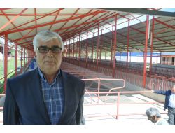 Bakanlık, Kozan’ın Köyünde 'Süt Sığırcılığı Projesi' Uygulayacak