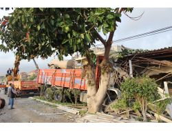 Kaza Karışan Kamyon Belediye Binasına Girdi, Başkan Kıl Payı Kurtuldu