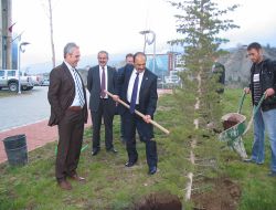 Rektörler Birlikte Fidan Dikti