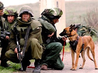 'Allahuekber' diyene saldır!'