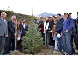 Spil Dağı'nda Yanan 77 Hektar Alan Ağaçlandırılıyor