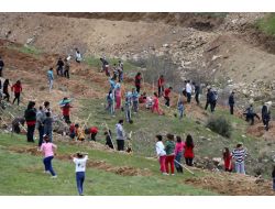 Denizli’de Herkesin Dikili Bir Ağacı Olacak