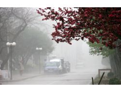 Trabzon Sis Altında