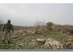 Mardin-diyarbakır Kara Yolunda Bulunan Patlayıcı İmha Edildi