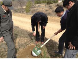 Öğrenciler Ağaç Dikmek İçin Birbirleri İle Yarıştı