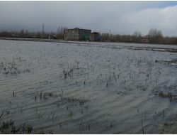 Bitlis’te Heyelan Maddi Hasara Yol Açtı
