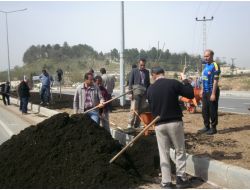 Toprak Olan Yer Yeşillenecek