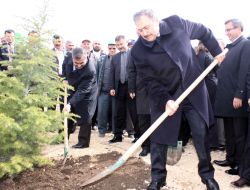 Eroğlu: 13 Milyon Ağaçla 'Meyve Ormanı' Oluşturacağız