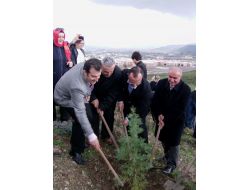 Lalezar Derneği 6 Bin Fidan Dikti