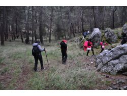 Kilosu 100 Tl'yi Bulan Kuzugöbeği Mantarı Köylülerin Geçim Kaynağı Oldu