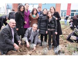 Makü Öğrencileri İçecekleri Bitki Çaylarını Okulda Yetiştirecek