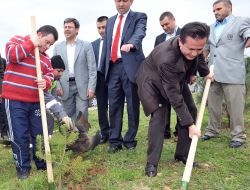 Engelli Öğrenciler 500 Çam Fidanı Dikti