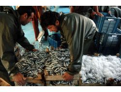 İç Sularda Av Yasağı 1 Nisan’da Başlıyor