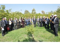 Mersin'in Tarım Potansiyeli Arap Diplomatları Etkiledi
