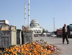 Günlerdir Toplanmayan Çöpler Hal Esnafının Tepkisine Neden Oluyor