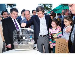 Davutoğlu, Dikilitaş'ı Telefonla Arayarak Geçmiş Olsun Dileğinde Bulundu