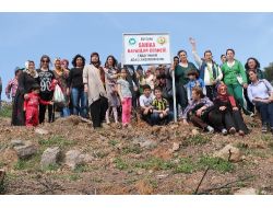 Oyuncu Fatma Belgen, Şahikalı Bayanlarla Fidan Dikti