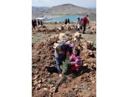 Umut-der Üyesi Kadınlar Fidanları Toprakla Buluşturdu