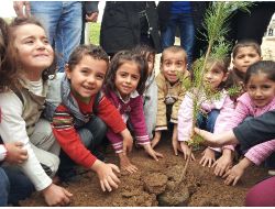 Köy Okullarını Ağaçlandırdılar