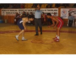 Yıldızlar Serbest Stil Türkiye Şampiyonası Sona Erdi