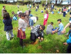 Sema Koleji Öğretmen Ve Öğrencileri Fidan Dikti