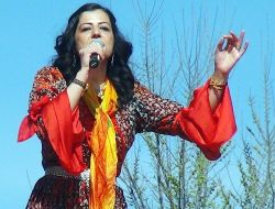 Akat, Tecavüz Davalarında Kadına Yaşatılan Mağduriyetin Araştırılmasını İstedi