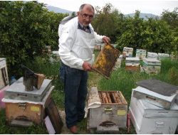 Eşine Şifa Ararken Gezgin Arıcı Oldu