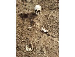 Tunceli’de Ormanlık Arazide İnsan Kemikleri Bulundu