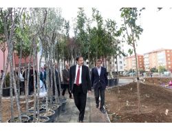 Palandöken Belediyesi İlçeyi Parklarla Donatıyor