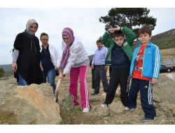 Ak Partililer Çanakkale'de Fidan Dikti