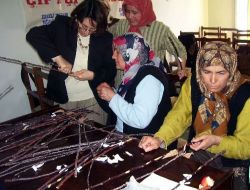 Ereğli Tarım İlçe Müdürlüğü, Ev Hanımları İçin Meyve Budama Kursu Açtı