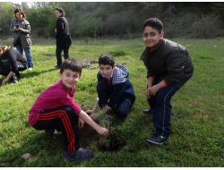 Minik Eller, Fidan Dikti