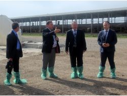 Sincan Anayurt Bölgesinde Hayvancılık Bölgesi Kuruluyor