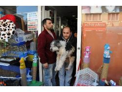 Kadıköy'de Pet-shoplarda Hayvan Satışı Yasağı Başladı