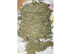 Engelli Vatandaş, Uyuşturucu Taciri Çıktı!