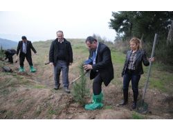 Rektör Ve Öğrenciler Fidan Dikti!